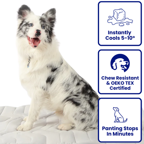Barkly Cooling Mat