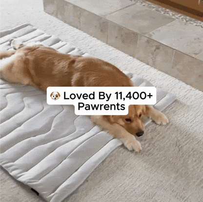 Barkly Cooling Mat